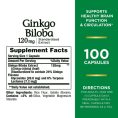 natures-bounty-ginkgo-biloba-capsules-120mg-memory-support-supplement-supports-brain-function-and-mental-alertness-100-capsules-540119 (2)
