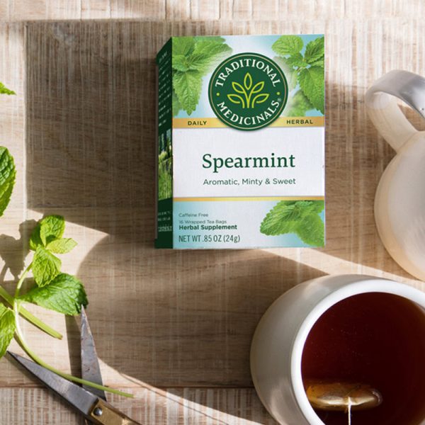 Traditional-Medicinals_Spearmint-Tea_Gruene-Minze-Tee2-2
