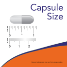 0175_capsule_size
